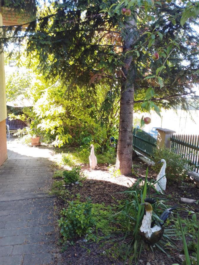 B&B Family Basement Apartment, Breakfast, Free Parking, 5Km From Tulln Chorherrn Eksteriør billede
