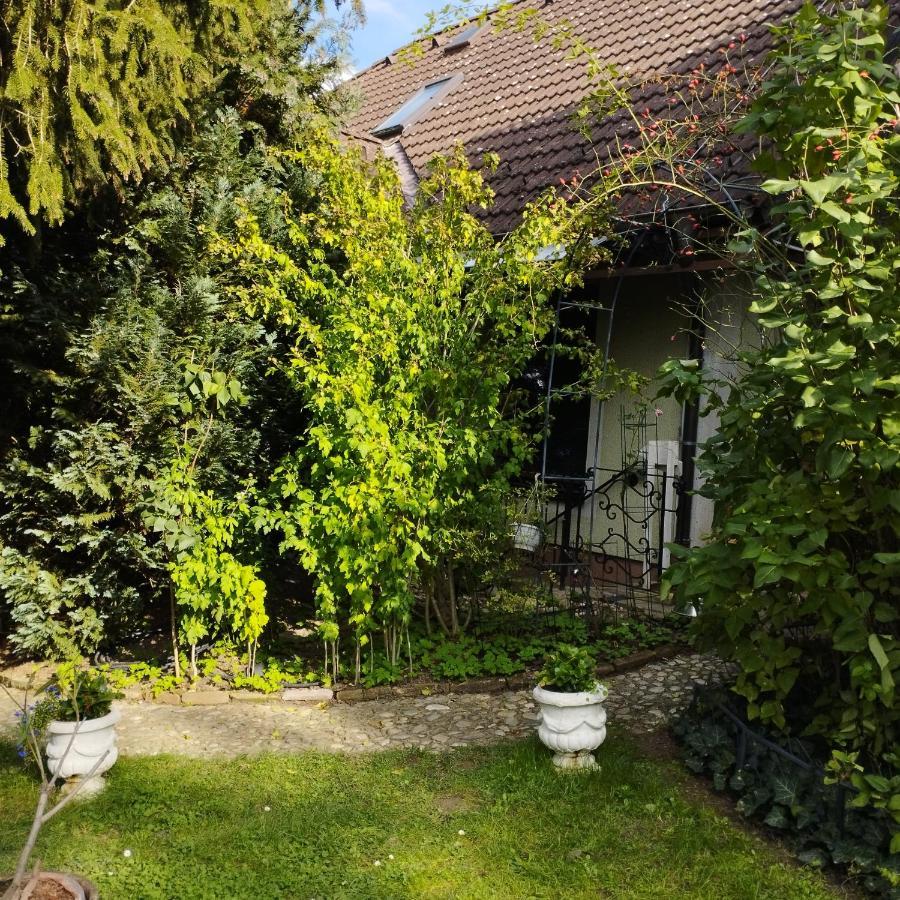 B&B Family Basement Apartment, Breakfast, Free Parking, 5Km From Tulln Chorherrn Eksteriør billede